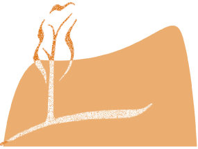 GrundundBoden